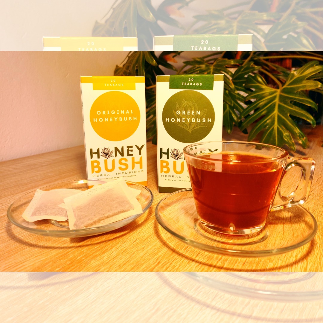 Honeybush Tea