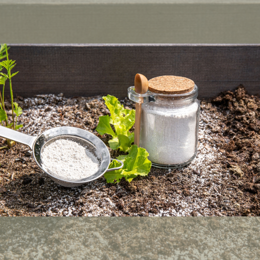 Diatomaceous Earth (Foodgrade) 500G